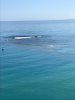 upload_2019-2-6_7-35-18.png