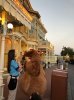 IMG_Feb62019at90522AM.jpg