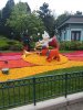 IMG_20180514_141059.jpeg