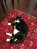 IMG_3639.jpeg