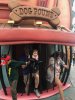 IMG_3730.jpeg
