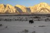 1483-Tetons 1483.jpg