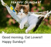 30F596E7-B0C8-4D7B-961E-4953A13C2E4C.png