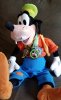 goofy.jpg