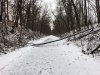 B3872C77-6E86-44F5-84F8-FDAEB4207F85.jpeg