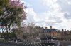 DSC_0469.JPG