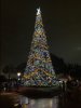 IMG_2690 (smaller).JPG