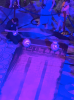 upload_2019-2-12_7-15-30.png