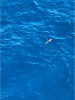 upload_2019-2-12_7-43-11.png