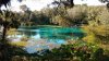 rainbow sprngs 1.19 springhead.jpg