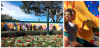 mural.png