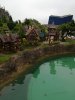 IMG_20180514_143950.jpeg