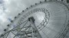 POD orlando eye.jpg