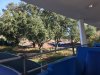 BD631391-2ADB-4603-8192-FFB6E431FB83.jpeg