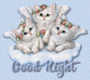 16AD9D0C-3534-4A4F-8910-C88E797D9570.gif