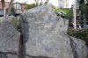 DSC_0511.JPG