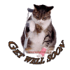 CB1347E2-F115-4E47-A1C2-A8B8BC629669.gif