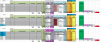 Screen Shot 2019-02-18 at 11.52.57 AM.png