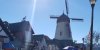 day 5 - solvang windmill.jpg