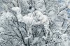 09BC3013-5DBC-42F7-B4BF-90ACAACA3224.jpeg