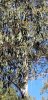 day 5 -  butterfly grove.jpg