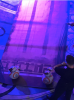 upload_2019-2-21_7-11-23.png