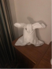 upload_2019-2-21_7-49-15.png