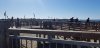 day 5 pismo beach pier.jpg