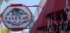 day 5 cool cat cafe 1.jpg