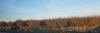 day 5 - orchards on I5.jpg
