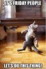 upload_2019-2-22_6-43-33.jpeg
