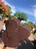 upload_2019-2-23_20-33-49.png