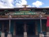 Animal-Kingdom-Discovery-Island-Christmas-Decorations_05.jpg