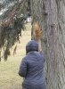 20190224_114102_crop_392x530.jpg