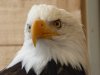 1020567-1958x1469.jpg