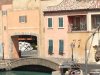IMG_0448.jpeg