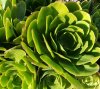 day 7 Pigeon point 81231_132700.jpg
