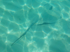upload_2019-2-28_7-44-11.png