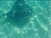 upload_2019-2-28_7-44-41.png