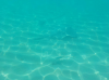 upload_2019-2-28_7-45-56.png