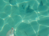 upload_2019-2-28_7-47-14.png