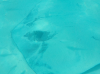 upload_2019-2-28_7-47-50.png