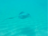 upload_2019-2-28_7-51-59.png