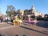 P1010684 (640x480).jpg