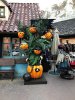 IMG_8102.JPG
