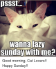 908828BD-496C-4D5F-A04A-90CE124F0F56.png
