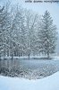 _MG_8400 small.jpg