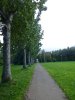 P1060599.jpg