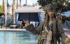 Jack Sparrow Stormalong Bay.jpg