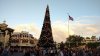 MK tree and flag.jpg MK tree and flag.jpg